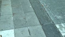 #cars_car_video