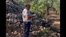 Michele monopoli story colazione da campioni