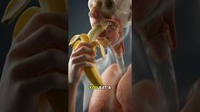 You Eat a Banana … This Happens Inside Your Body #shorts #humanbody #medicalanimation #anatomy
