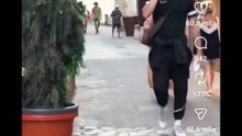 Scherzo della pianta finta