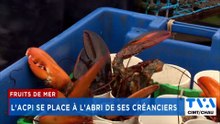 TVA Nouvelles CIMT/CHAU 18h 17 août 2026