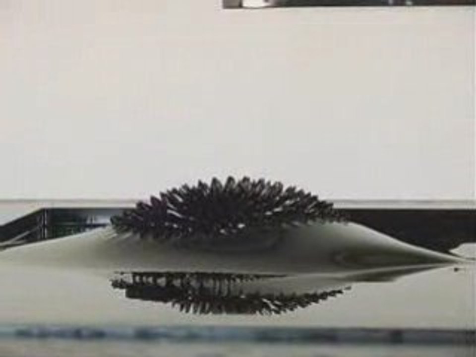 Ferro Fluids Protrude Flow