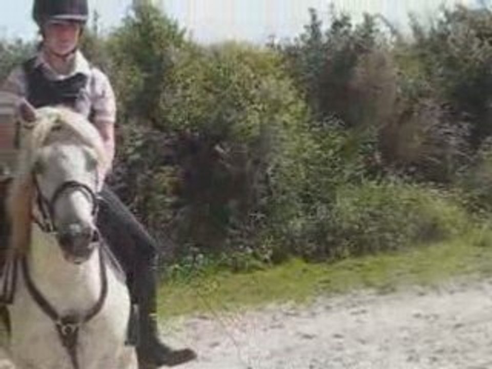 Mise en selle