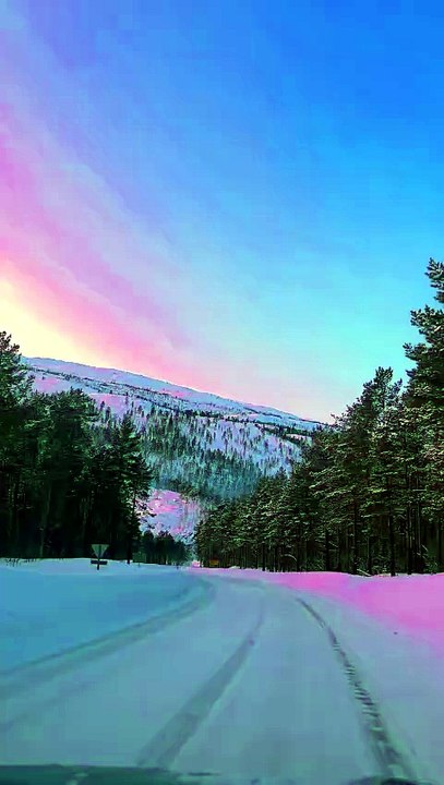 ❄️ Snowy Wonderland 🌨️ | Peaceful Winter Nature