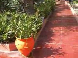 Maroc - jardin majorelle à marrakech