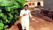 Comedy & Entertainment