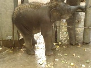 Premières expériences de Jade, née au PAL