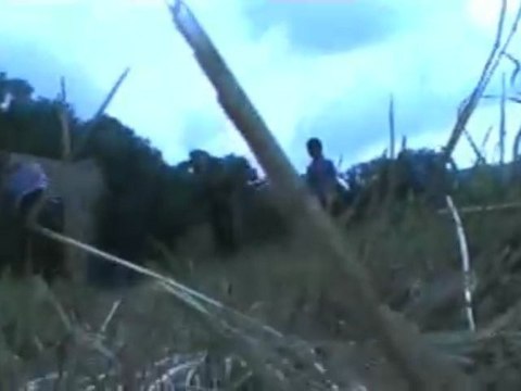 Guillaume Perdu Dans Les Bois Partie 9