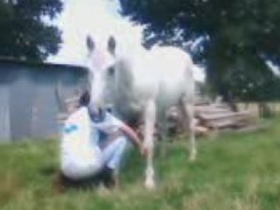VID009