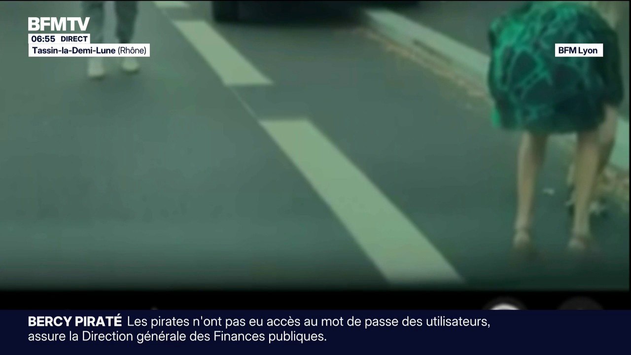 Le sort d'un renard mordeur fait débat à Tassin...