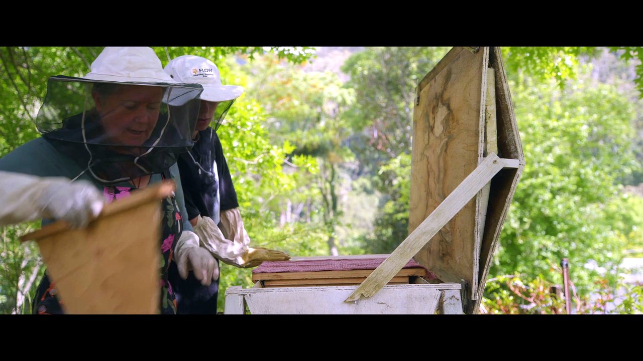The Valley trailer
