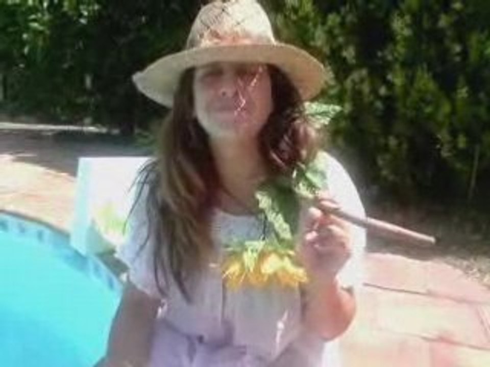 Merci MSN pour mon Award du rire 2008