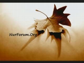 Ezeli Nur (Nurforum)