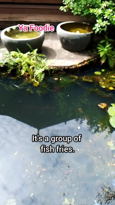 Those red small guys are fries