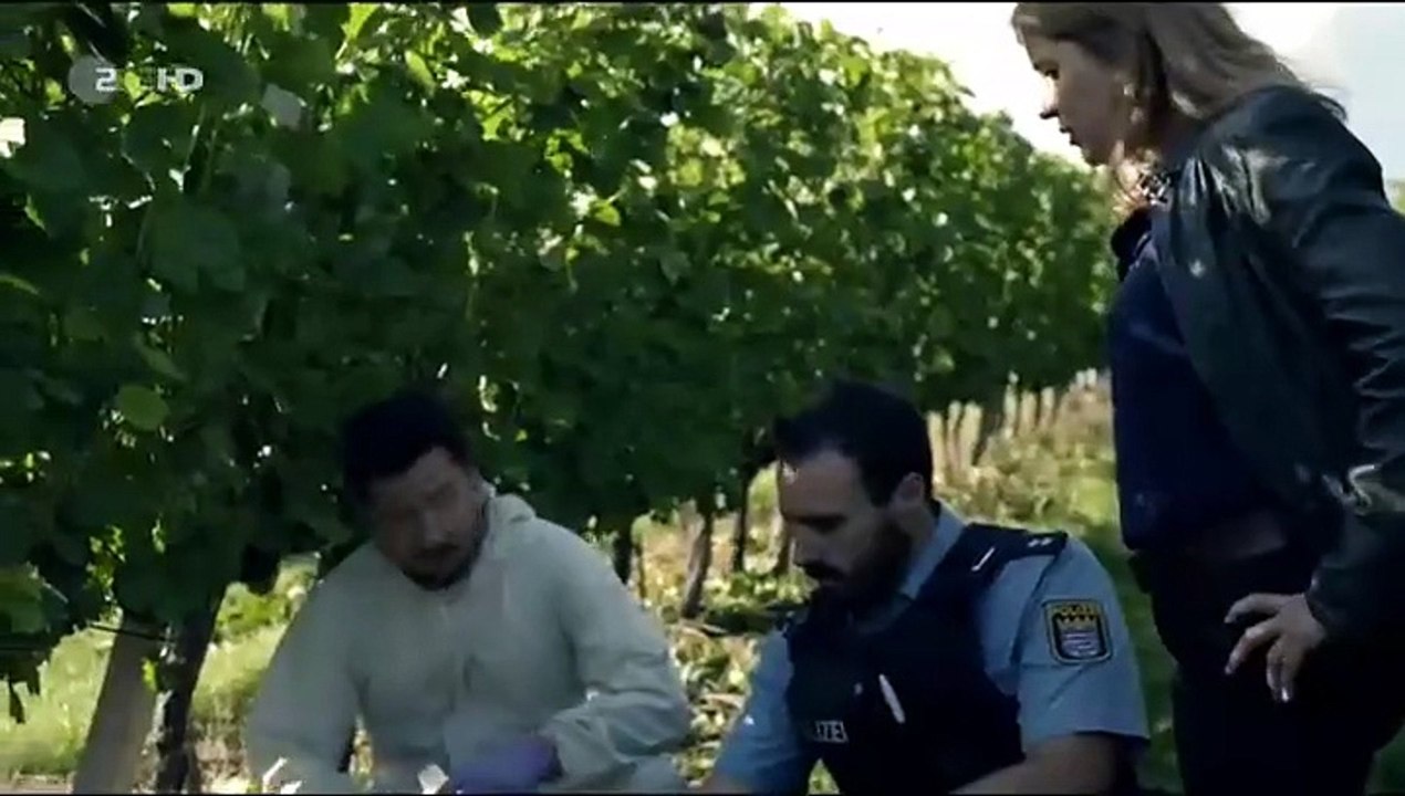 Der Staatsanwalt -66- Nachts im Weinberg