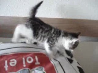 Capucine bébé en parcours Commando