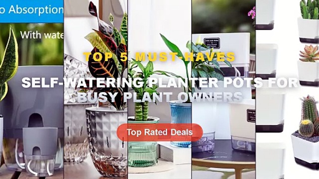 Why Everyone Is Buying Self-Watering Planter Po...