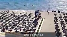 Albania tanie wczasy all inclusive 18.08.2026 | Lastradar