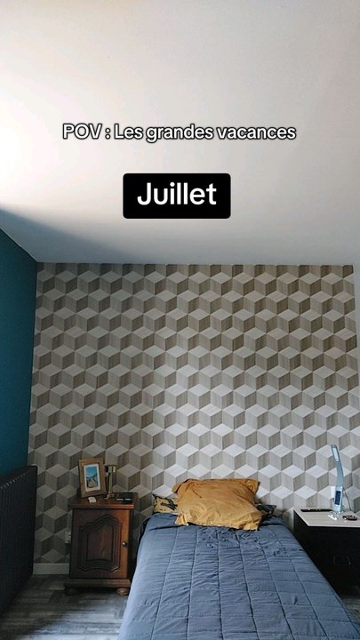 La façon dont vous voyez les grandes vacances 😂