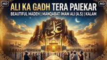 Ali Ka Gadh Tera Paiekar Madeh Status | New Manqabat Imam Ali (A.S)