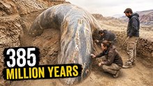 This 385-Million-Year-Old Artifact Was Buried for Ages—Now Scientists Are Finally Studying It
