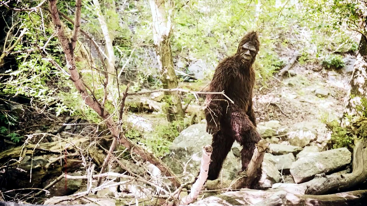 Bigfoot-Experte erklärt, warum noch nie eine Leiche gefunden wurde