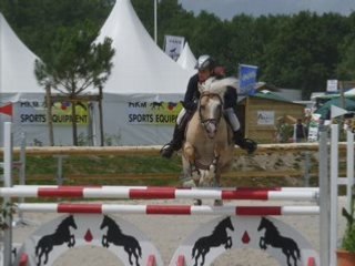 Lamotte Beuvron 2008 ♥♥♥