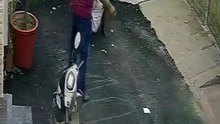Pitbull dog bit couples in north india