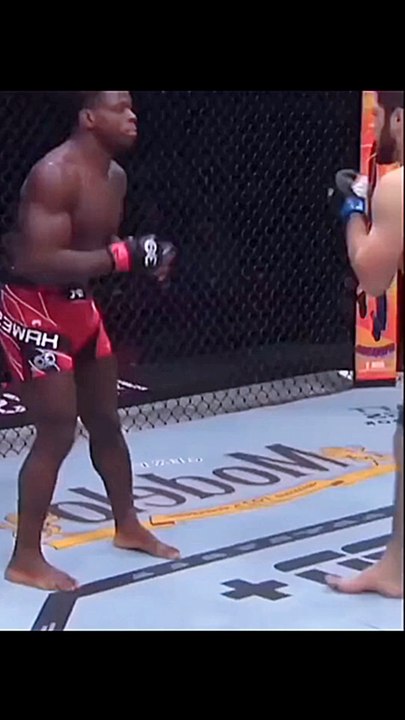 MMA fun edit