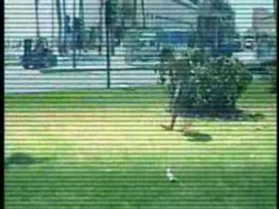 Training dubster y denis