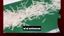 “Esta gente no pagó un sueldo en su vida”: la fuerte advertencia del economista Luis Palma Cané, por la caída de empresas y pymes.