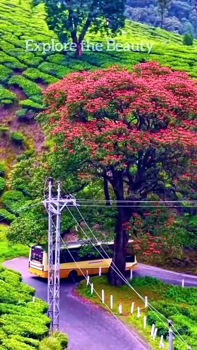 Relaxing views | Explore the Beauty #relaxing