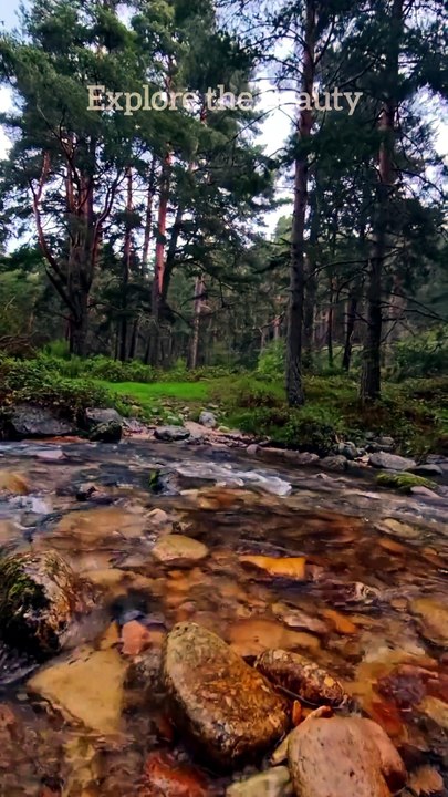 Sound of Nature | Explore the Beauty #nature