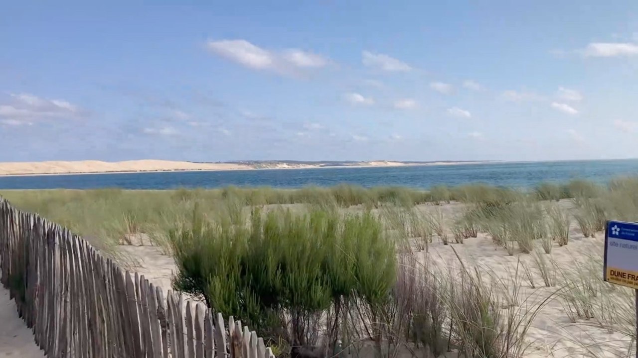 Face à la Dune