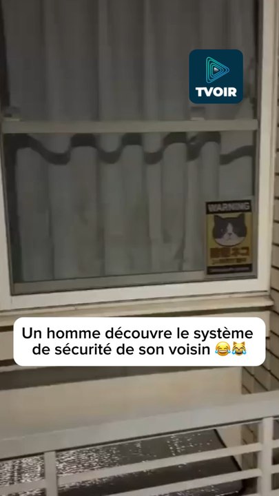 Chat de sécurité 24h au Japon 😂🐱