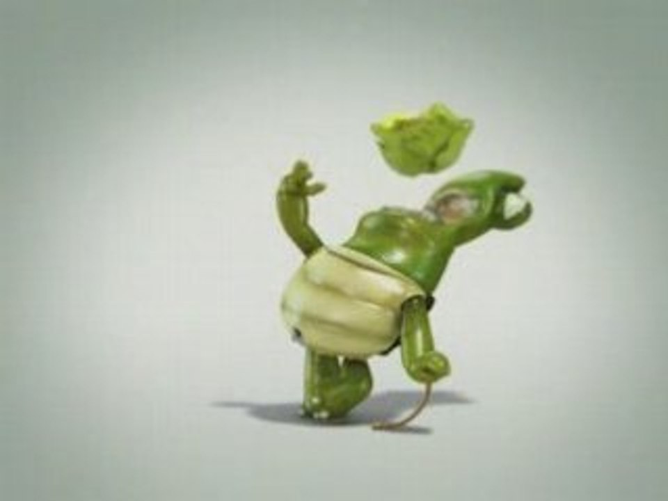 Video Dancing Turtle - Turtle, tortue, dancing, dance