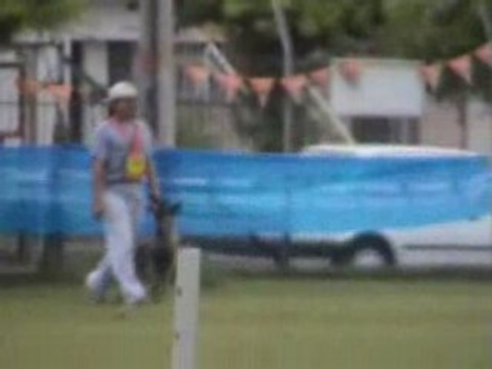 campeonato obediencia colombiano