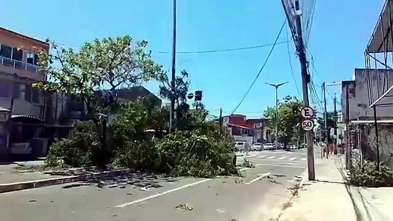 Árvore cai após fortes ventos que atingiram a P...