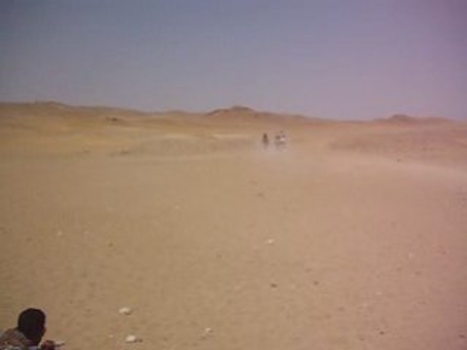 Bikermice.nl - Camelride