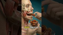 What Happens Inside Your Body When You Eat Dates? 😳