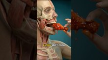 What Happens When You Eat a Spicy Foods late at night? 🌶️ (3D Anatomy)