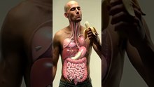 What a Banana Does Inside Your Body | Human Digestion in 3D