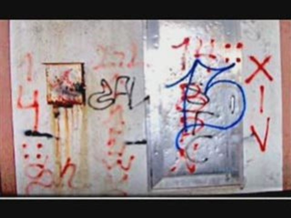 Latin King vs Surenos vs Nortenos vs Crips vs Bloods