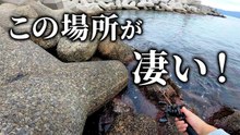 【穴釣り】この場所が凄い！良型や大物はここにいる！