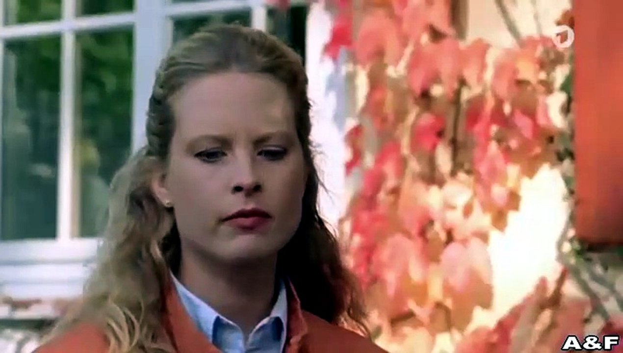 Utta Danella -16- Das Geheimnis unserer Liebe