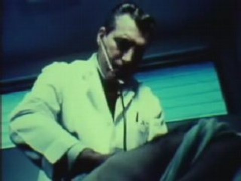 Cancer Cure Vitamin B17 01