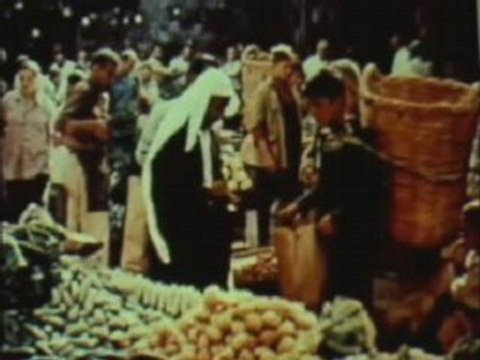 Cancer Cure Vitamin B17 03