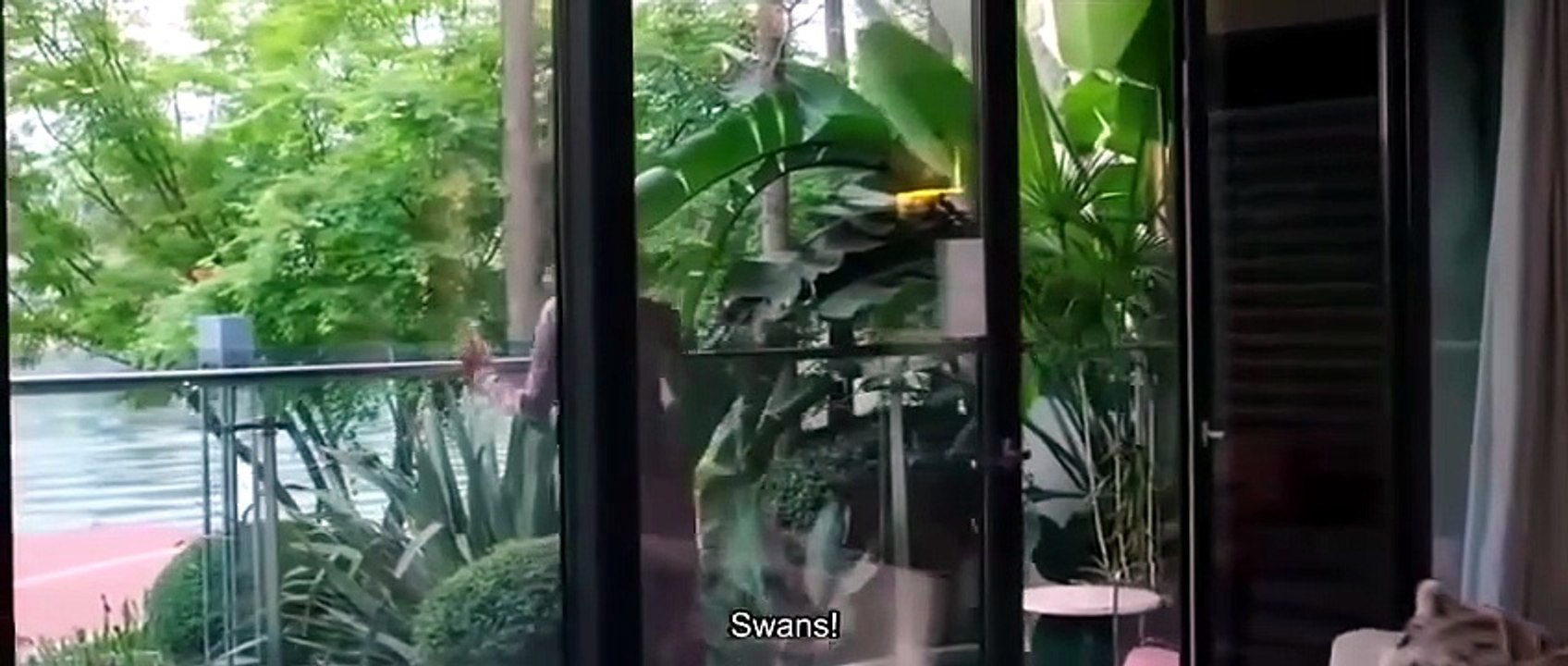 Serendipity Canyon Reels – Episode 1 ENGLISH SUBTITLES (2026)