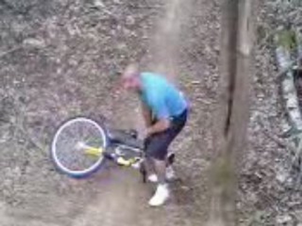 regis a velo dans un arbre