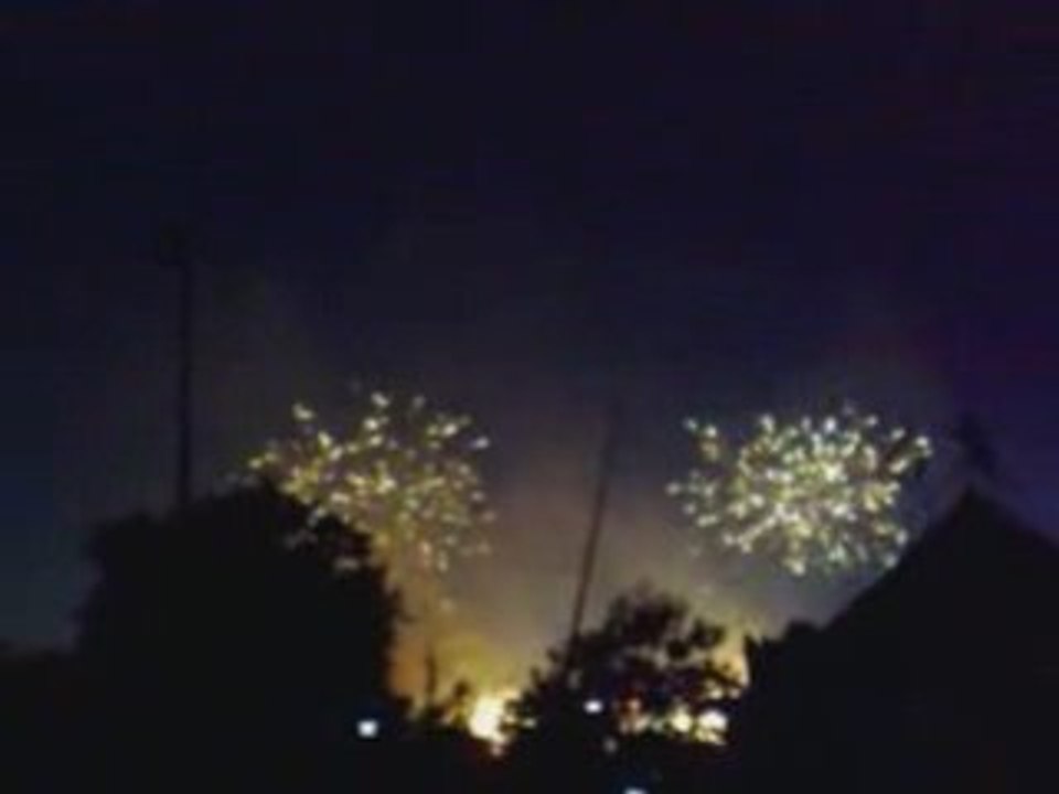 Feu d' Artifice 14 Juillet 2008 Paris Tour Eiffel Firework